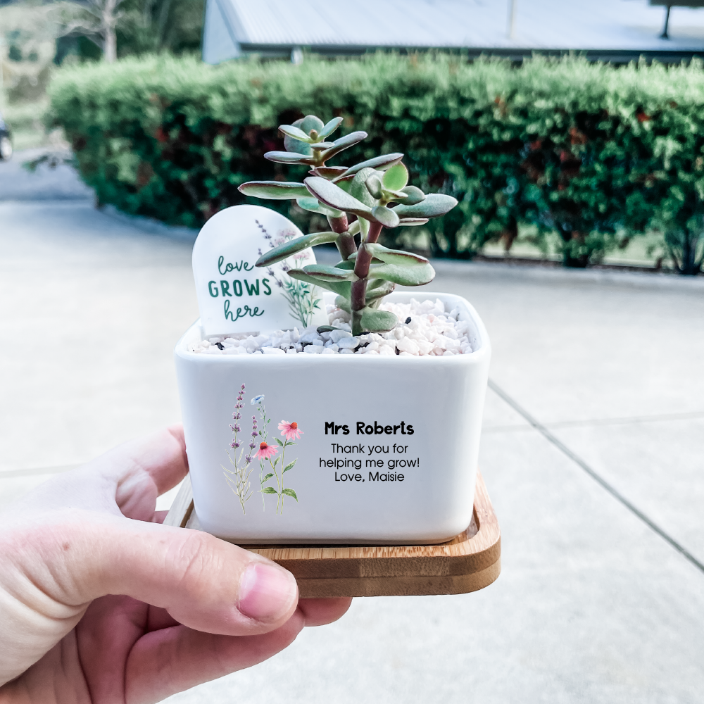 Personalised Succulent Garden DIY Kit - Square (unable to ship to WA, NT and TAS)