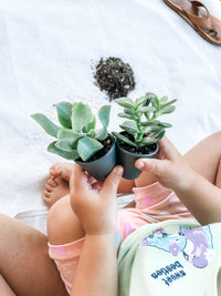 Personalised Succulent Garden DIY Kit - Rectangle (unable to ship to WA, NT and TAS)